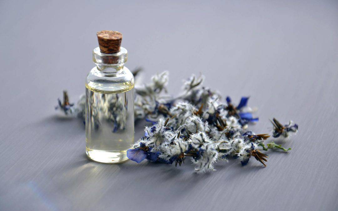 Exploring the Popularity of Lavender Essential Oil in Aromatherapy